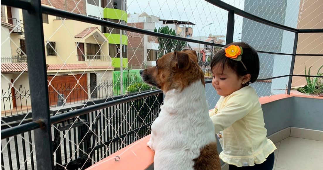 Visión general los padres de crianza Decir la verdad Mallas de Seguridad Medellin | MALLAS PROTECCION | Mallas de Seguridad en  Medellin | Mallas de Seguridad para Balcones Medellin | Mallas de Seguridad  para Ventanas Medellin | Mallas de Seguridad Invisibles