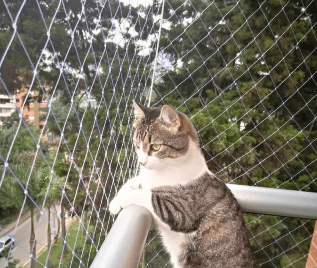 Mallas de Seguridad Medellin, MALLAS PROTECCION, Mallas de Seguridad en  Medellin, Mallas de Seguridad para Balcones Medellin, Mallas de Seguridad  para Ventanas Medellin